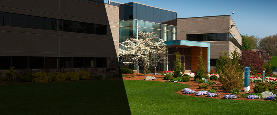 Londonderry Landscapers