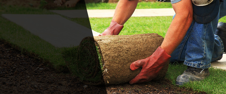 Londonderry Landscapers